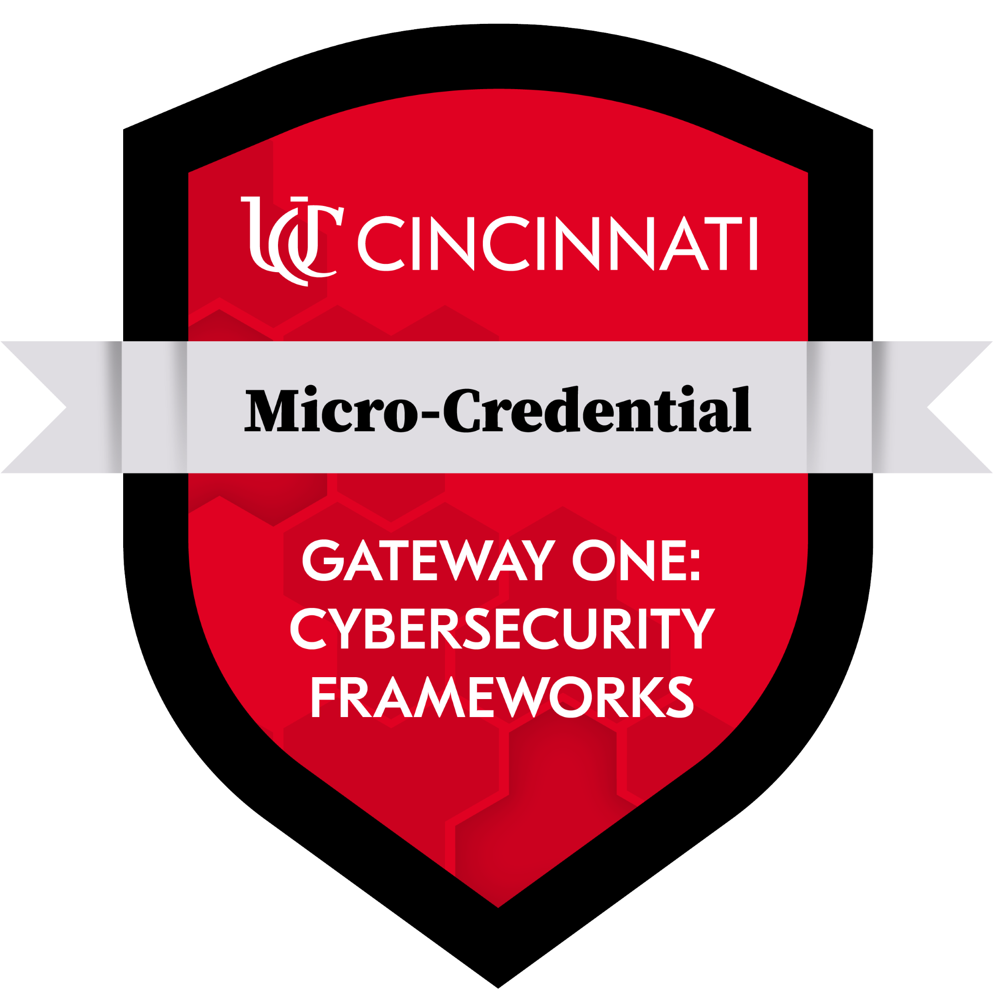 Cybersecurity Frameworks Certification