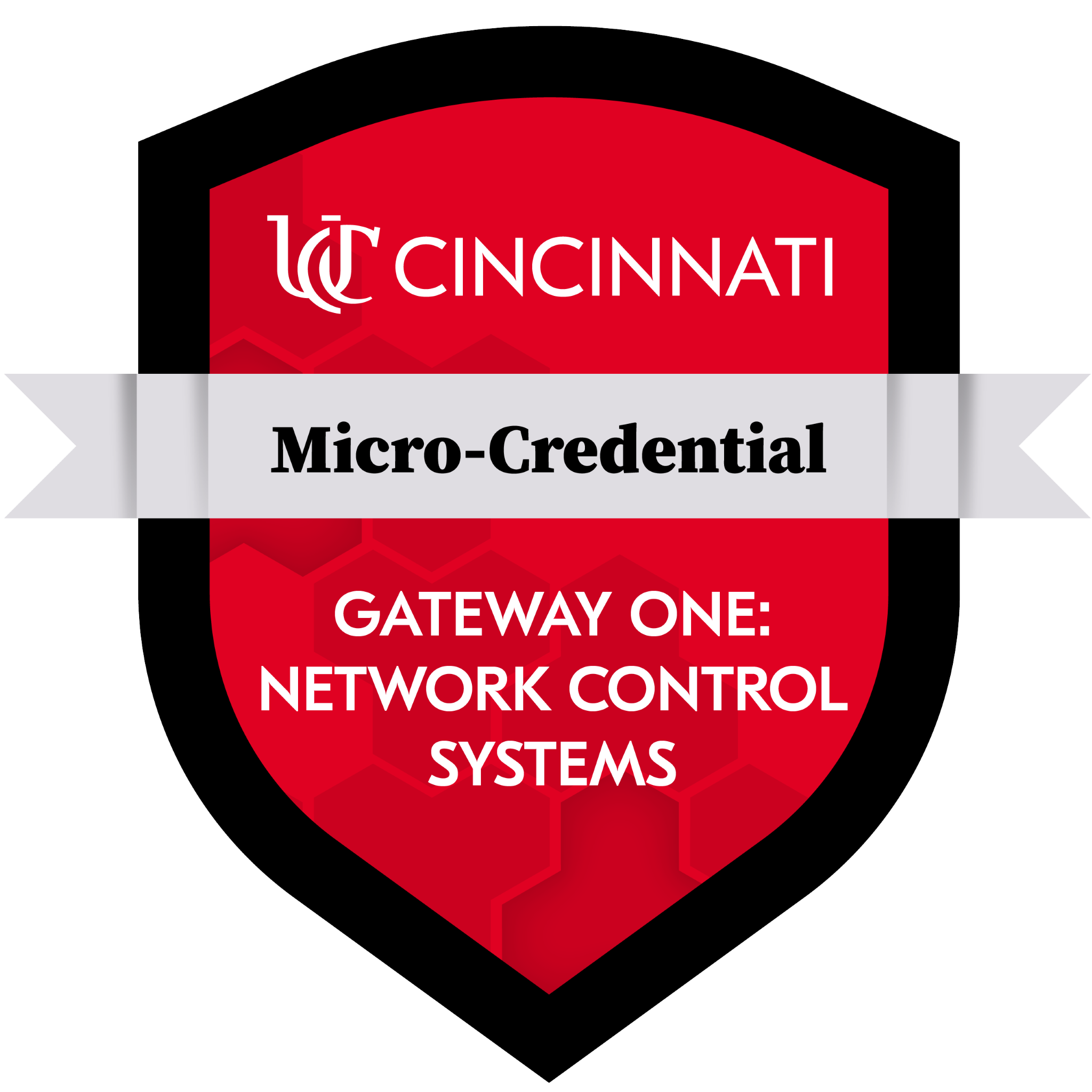 Network Control Systems Certification