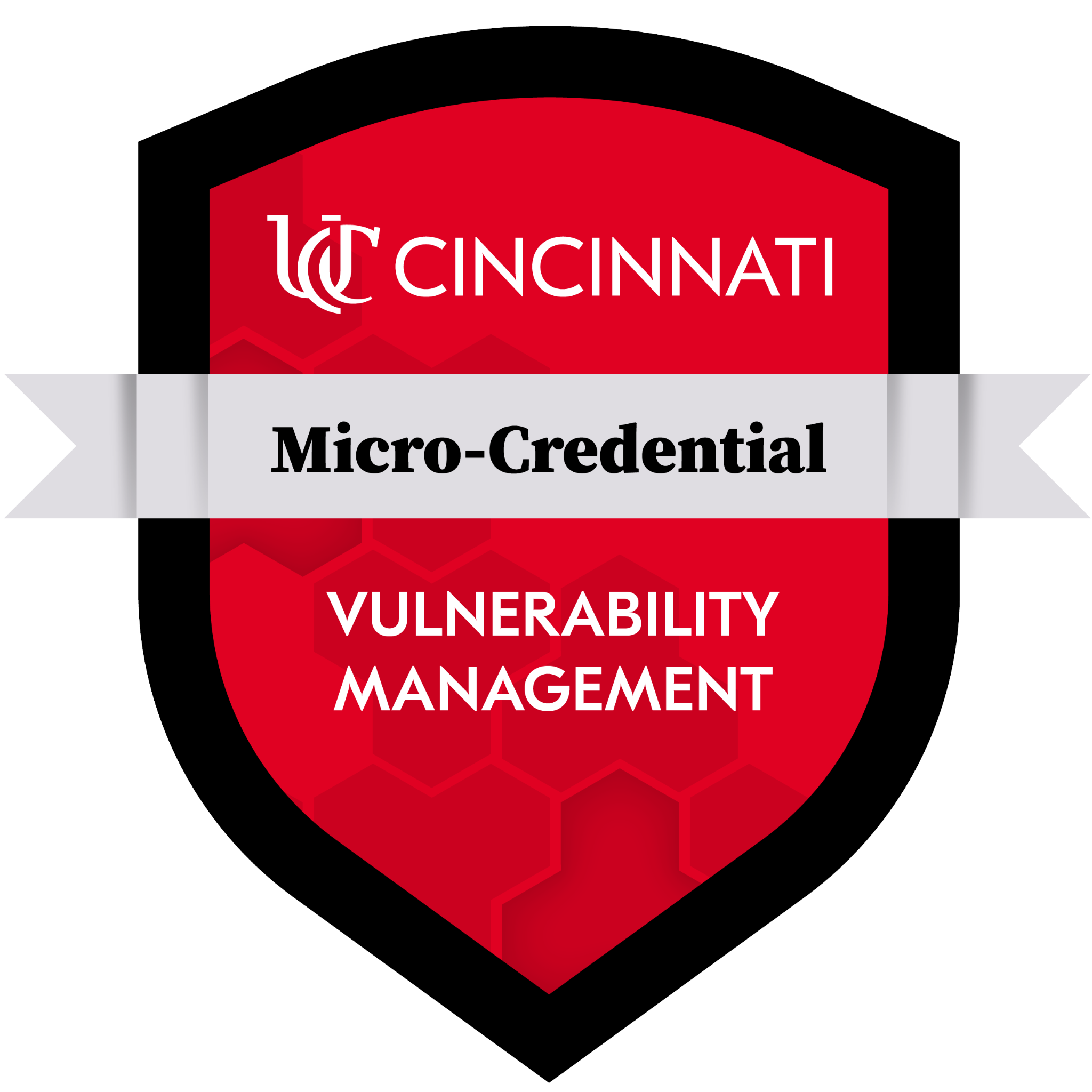 Vulnerability Management Certification
